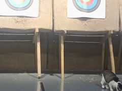 -蓝天射箭馆·专业射箭运动(诚丰广场店)