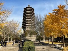 -玲珑塔公园