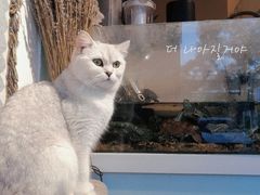 -平行世界·猫咖(首经贸店)