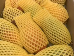 -上海龙吴水胜海发市场