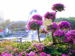 -莲花山公园