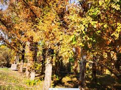 -国家植物园南园