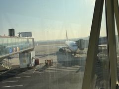 -郑州新郑国际机场