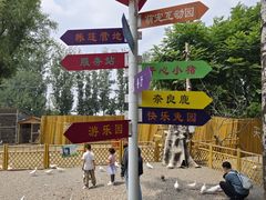 -1982农场