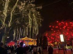 -大雁塔北广场音乐喷泉