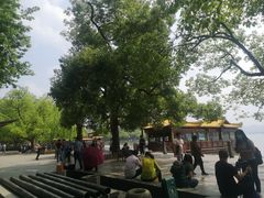 -西湖外事游船(湖滨二公园外事游船码头)