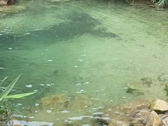 -南海湾森林生态园