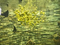 -秦皇岛新澳海底世界