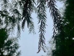 -上方山森林动物世界