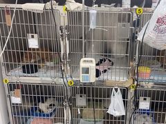 -达爱动物医院·犬猫分区·CT·复杂眼科(远洋山水分院)