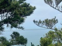 -摩天岭风景区