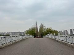 -洋湖国家湿地公园
