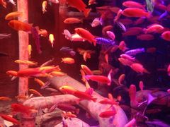 -沈阳海洋探索中心