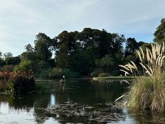 -墨尔本皇家植物园