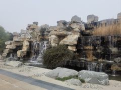 -石家庄市植物园