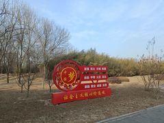 -大望京公园