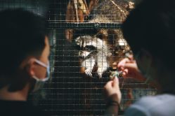 -酷嗒动物文化乐园(cutezoo西溪乐天城店)