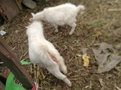 -乡乐园蟹庄·阳澄湖农家乐