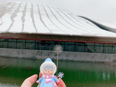 -合肥大剧院