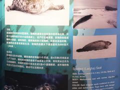 -上海海洋水族馆