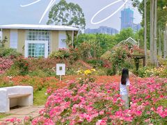 -三圣花乡旅游区