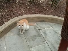 -龙达温泉生态城