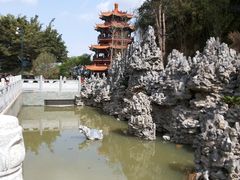 -神光山国家森林公园