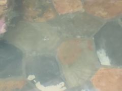 -嘉悦汗蒸时代(曙光路店)