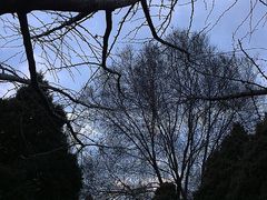 -辽宁大学(崇山校区)