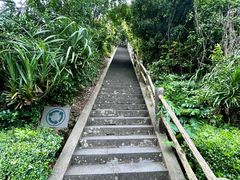 -海口火山口国家地质公园