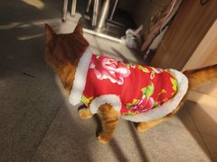 -毒蛇面馆(虹口店)