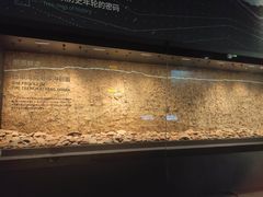 -盘龙城遗址博物院
