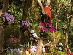 -广州市白云山风景名胜区