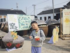 -苏州市吴中区光福窑上花果蜜饯厂