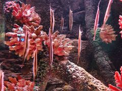 -沈阳海洋探索中心