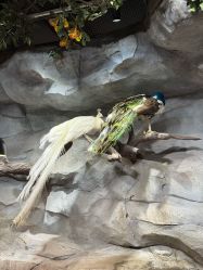 -Zoolung Zoolung动物主题公园(海信广场店)