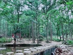 -洛阳白云山景区