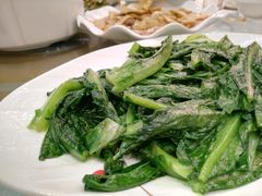 -清远恒大酒店·寻味清远