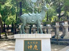 -奈良公园