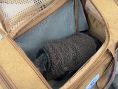 -四月宠物医院·猫专科·心脏专科·内科(转塘店)
