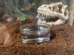 -Rabbit Cafe私房西餐甜点咖啡(栖霞路店)