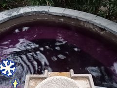 -融汇温泉