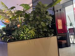 -辛香汇·现炒川菜(城北万象城店)
