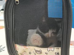 -芭比堂动物医院·CT·微创中心(新顺分院)