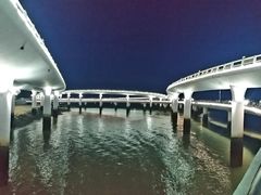 -演武大桥观景平台