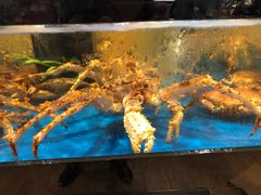 -金鹰超市(国际购物中心新街口店)