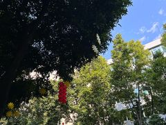 -建国蚵煎蚵面