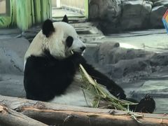 -秦皇岛野生动物园