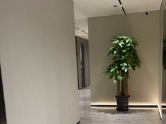 -W·24H茶楼·棋牌·掼蛋(望京店)