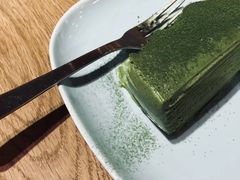 -柴务处·柴犬主题狗咖